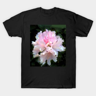 Rhododendron, close up. T-Shirt